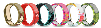 PARAKITO EFAS BRACCIALETTO GRAFFIC JUNGLE PLUS - Doctor Vinz