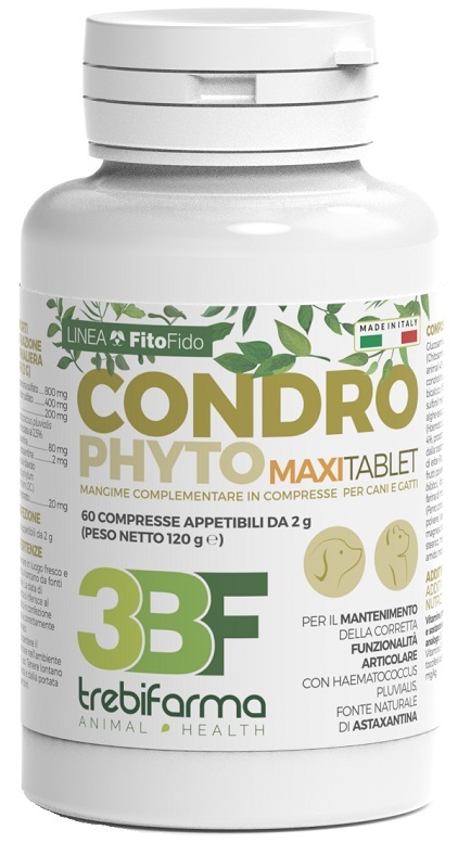 CONDROPHYTO 60 COMPRESSE 2 G - Doctor Vinz