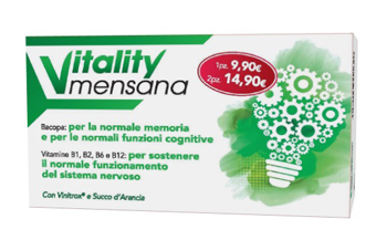 VITALITY MENSANA 12 STICK PACK - Doctor Vinz