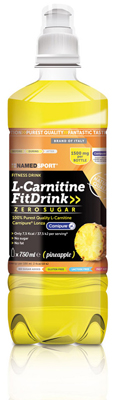 L-CARNITINE FIT DRINK PINEAPPLE 500 ML - Doctor Vinz