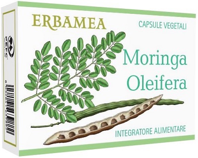MORINGA OLEIFERA 24 CAPSULE - Doctor Vinz
