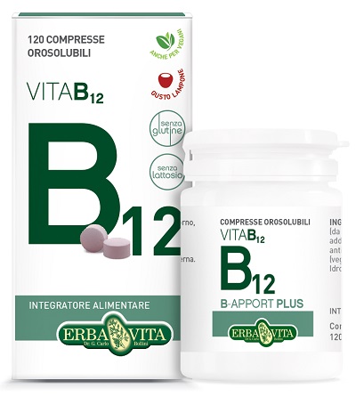 B APPORT PLUS 120 COMPRESSE OROSOLUBILI - Doctor Vinz