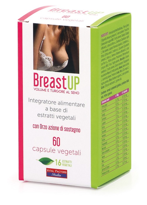 BREAST UP 60 CAPSULE - Doctor Vinz