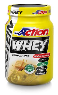 PROACTION WHEY RICH CHOCOLATE 900 G - Doctor Vinz