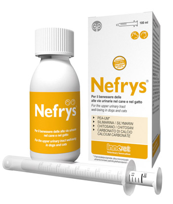 NEFRYS VEG 100 100 ML CON SIRINGA DOSATRICE ALIMENTO COMPLEMENTARE PER CANI E GATTI - Doctor Vinz