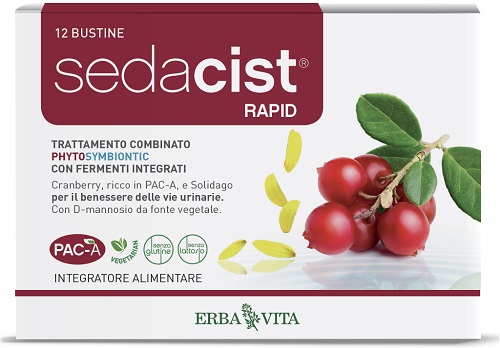 SEDACIST RAPID 6 + 6 BUSTINE - Doctor Vinz