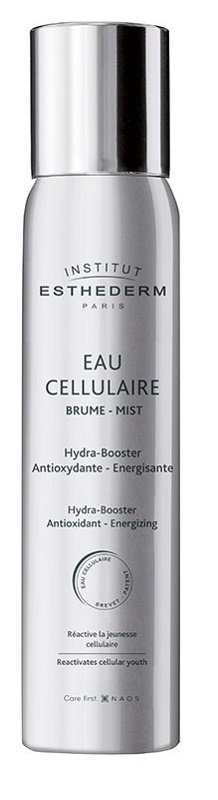 INSTI EAU CELLULAIRE BRUME 100 ML - Doctor Vinz