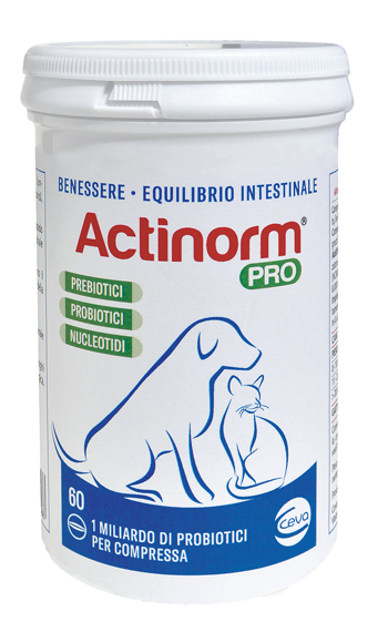 ACTINORM PRO FLACONE 60 COMPRESSE - Doctor Vinz