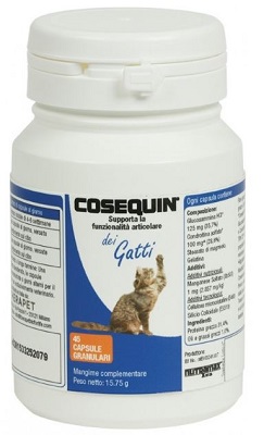 COSEQUIN GATTI 45 CAPSULE - Doctor Vinz