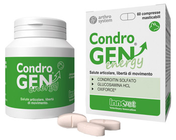 CONDROGEN ENERGY 60 COMPRESSE MASTICABILI - Doctor Vinz