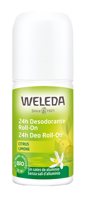 24H DEO ROLL-ON LIMONE 50 ML - Doctor Vinz